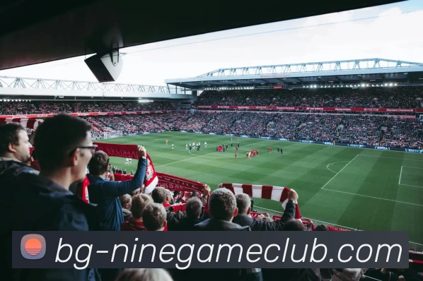 九游官方网站品牌故事